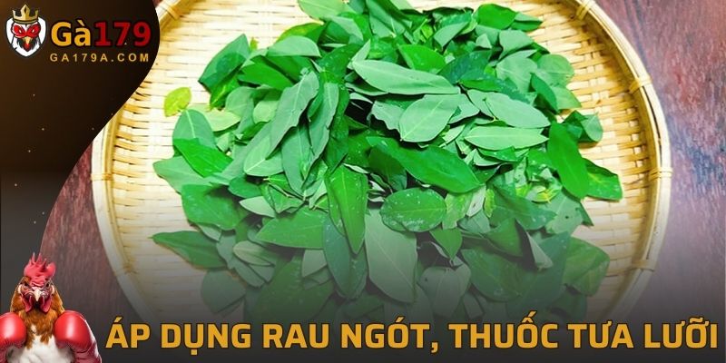 Áp dụng rau ngót cùng thuốc tưa lưỡi