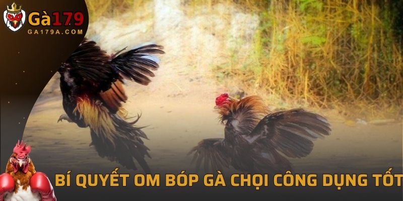 Bí quyết om bóp gà chọi bằng chè khô, bưởi có công dụng tốt