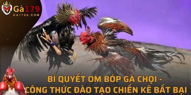 Bí Quyết Om Bóp Gà Chọi