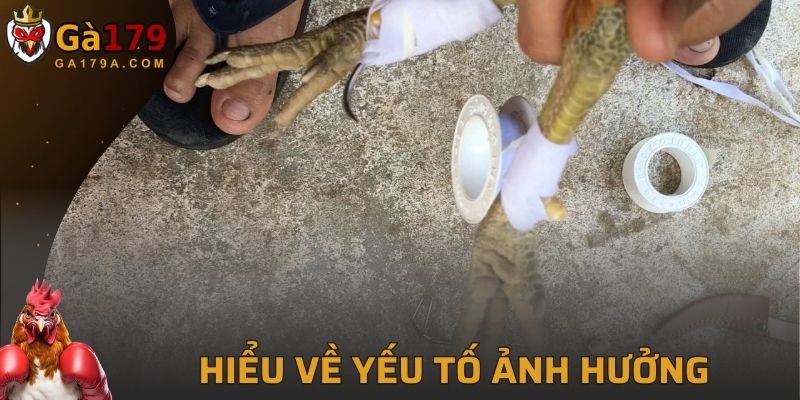 Biết rõ các yếu tố ảnh hưởng khác