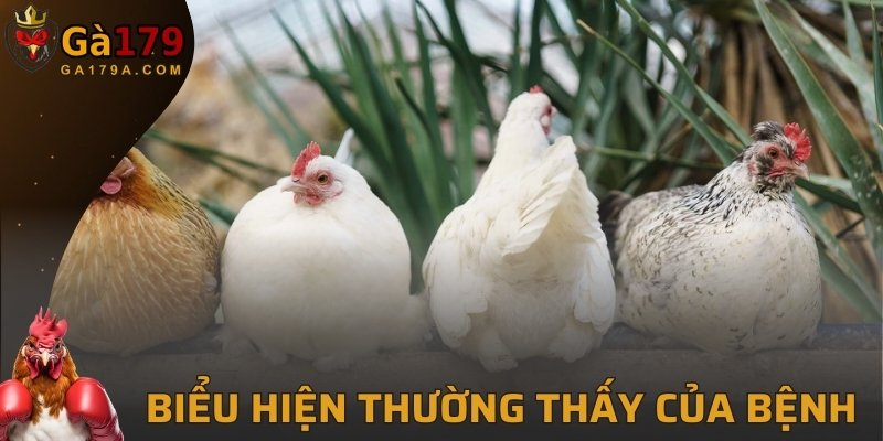 Biểu hiện thường thấy của bệnh