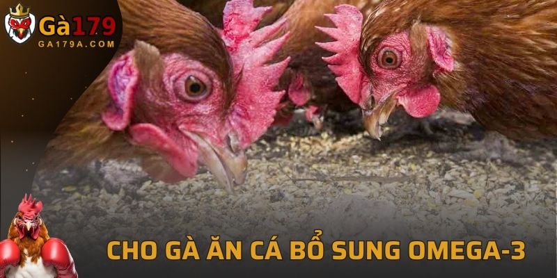 Bổ sung cá trong khẩu phần ăn hằng ngày