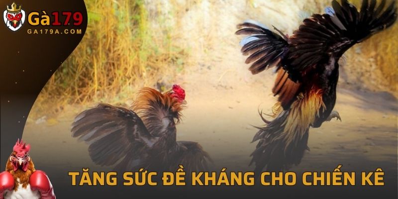 Bổ sung chất giúp tăng sức đề kháng