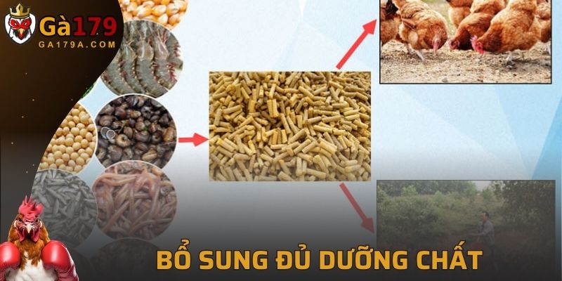 Bổ sung đầy đủ các nhóm thực vật