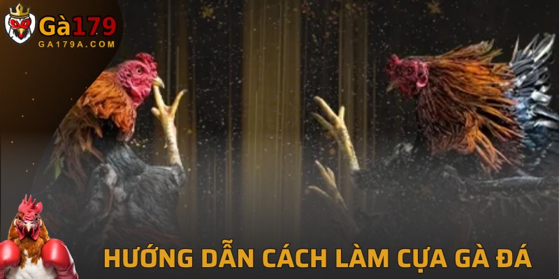 Các cách tạo hình cho gà đá chuẩn chỉnh nhất tại GA179