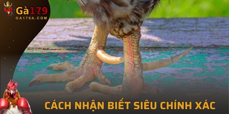 Cách nhận biết siêu chính xác