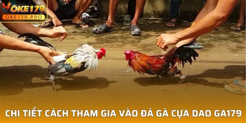 Chi tiết cách tham gia vào đá gà cựa dao GA179