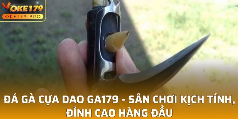 Đá Gà Cựa Dao