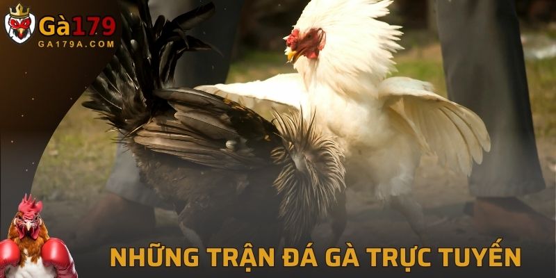 Đá Gà Trực Tuyến