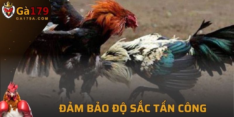 Đảm bảo độ sắc để tấn công đối thủ