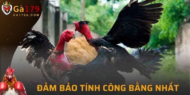 Đảm bảo tính an toàn công bằng