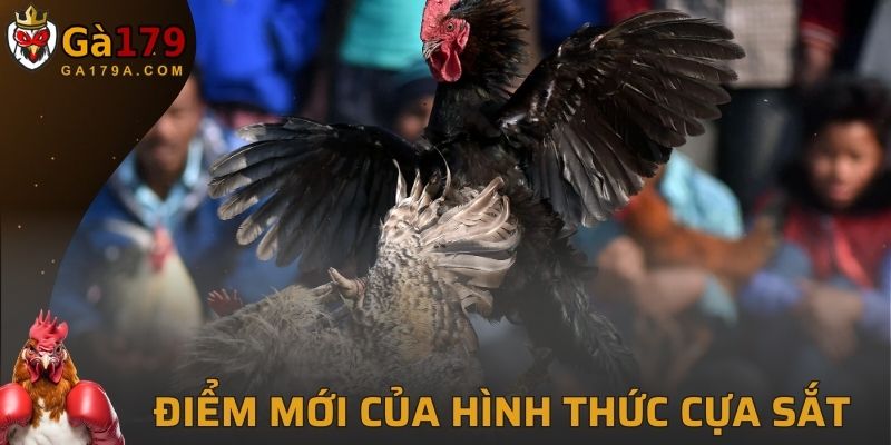 Điểm mới lạ của hình thức cựa sắt