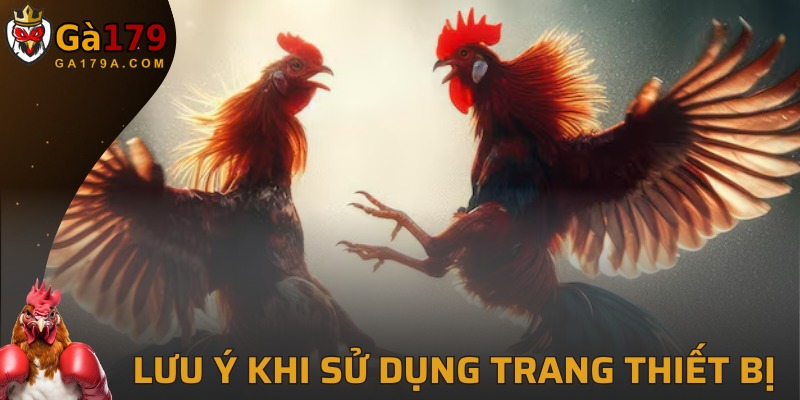 Điều cần chú ý khi trang bị công cụ hỗ trợ cho gà chiến