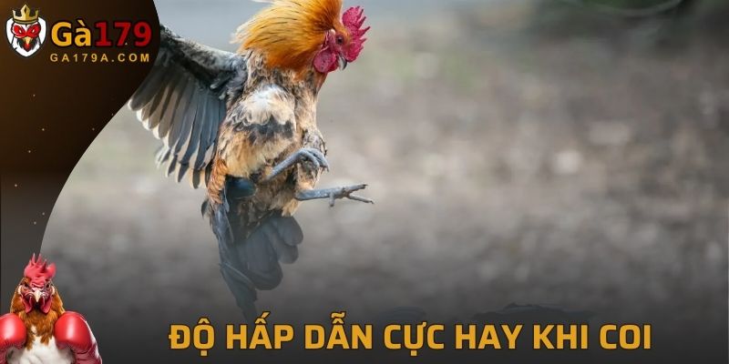 Độ hấp dẫn cực hay khi coi