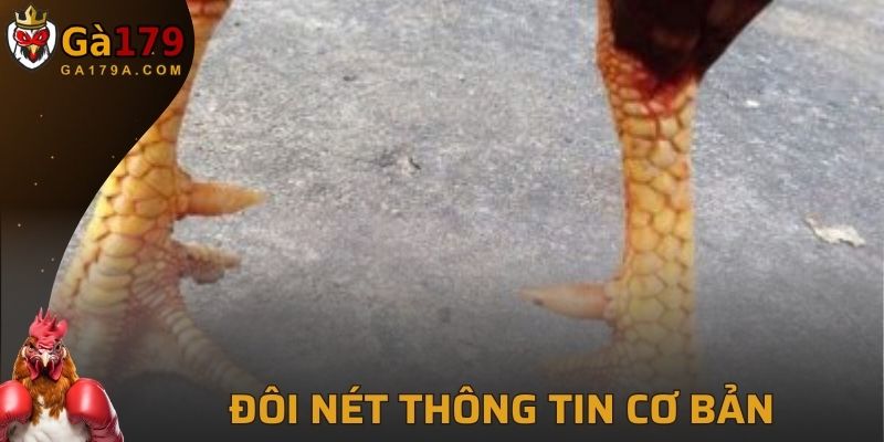 Đôi nét thông tin về vảy giáp vy đao