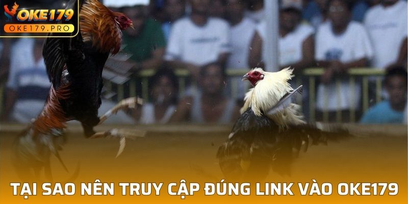 Hình thức bạn không thể bỏ qua tại đá gà GA179