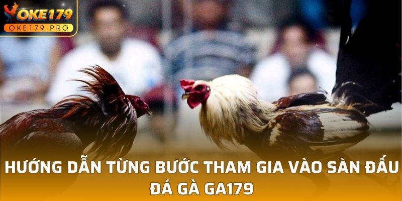 Hướng dẫn từng bước tham gia vào sàn đấu đá gà GA179