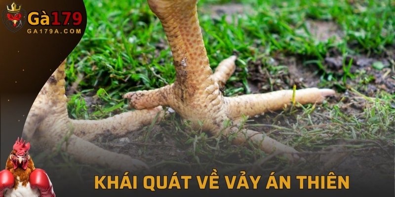 Khái quát về vảy Án Thiên cùng GA179