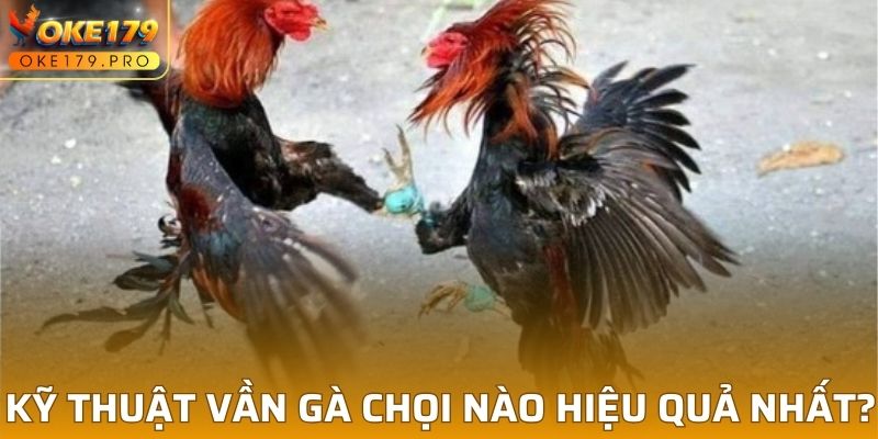 Kỹ thuật vần gà chọi nào hiệu quả nhất?