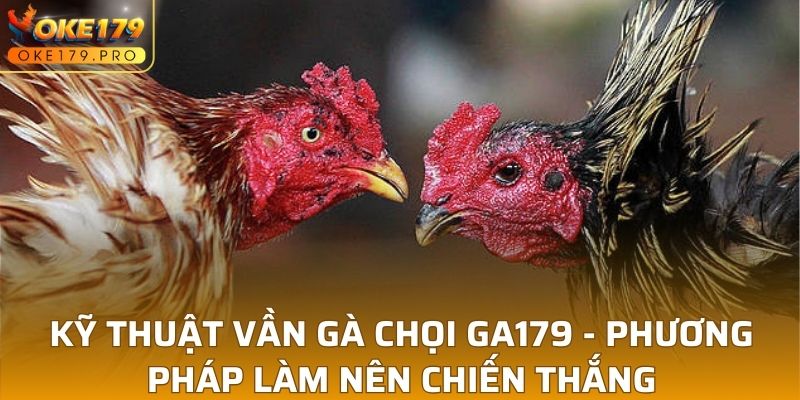 Kỹ Thuật Vần Gà Chọi