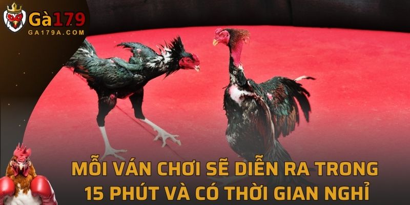 Mỗi ván chơi sẽ diễn ra trong 15 phút và có thời gian nghỉ