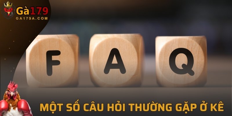 Một số câu hỏi thường gặp ở kê