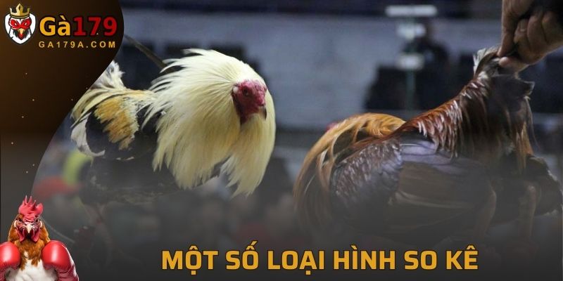 Một số loại hình so kê tiêu biểu