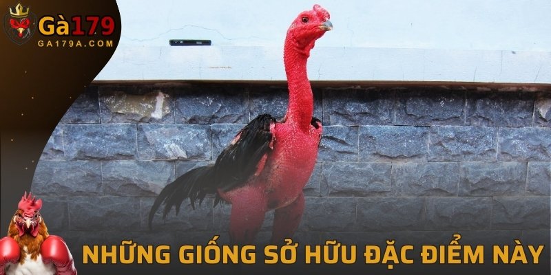 Những giống sở hữu đặc điểm này