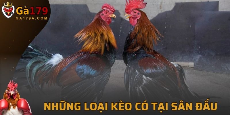 Những loại kèo sẽ có tại sân đấu