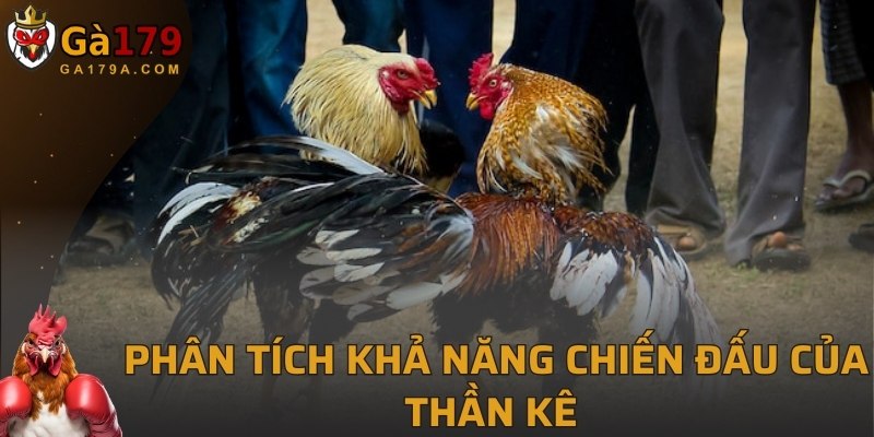 Phân tích khả năng chiến đấu của thần kê