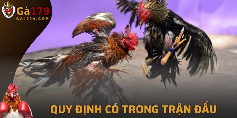 Quy định có trong một trận đấu