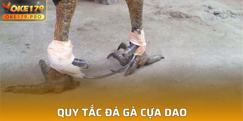 Quy tắc đá gà cựa dao