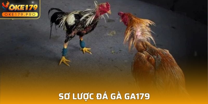 Sơ lược đá gà GA179