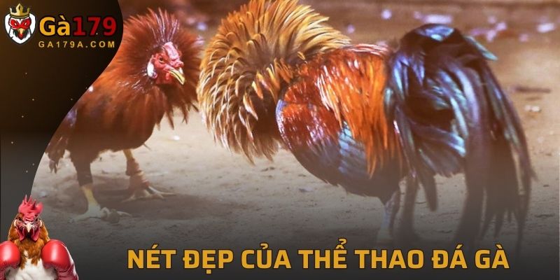 Tham gia vào các môn thể thao