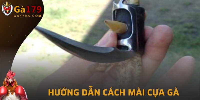 Tham khảo cách mài chi tiết nhất tại GA179