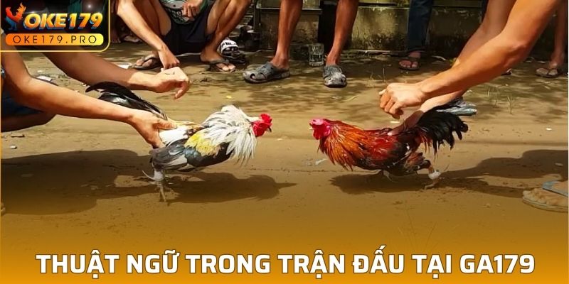 Thuật ngữ trong trận đấu tại GA179