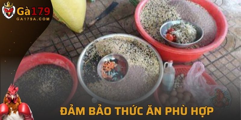 Thức ăn chính của chiến kê