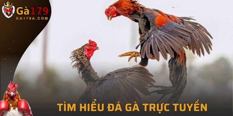 Tìm hiểu qua về đá gà trực tuyến