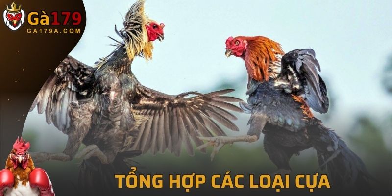 Tổng hợp những loại cựa gà phổ biến