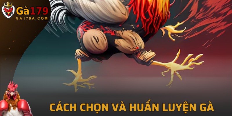 Tuyển chọn giống kê chọi thích hợp để đào tạo