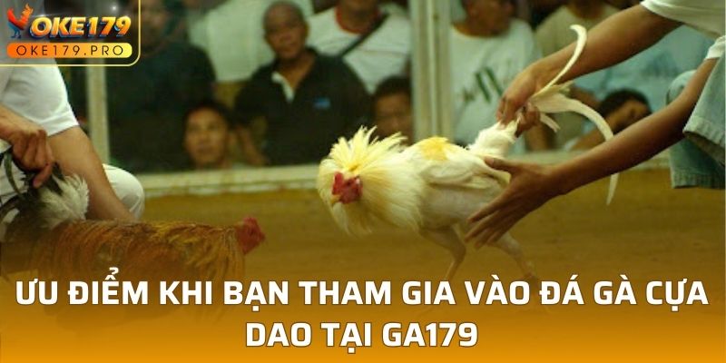 Ưu điểm khi bạn tham gia vào đá gà cựa dao tại GA179