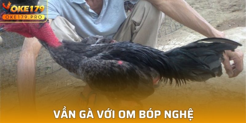 Vần gà với om bóp nghệ