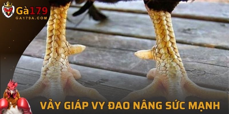 Vảy Giáp Vy Đao