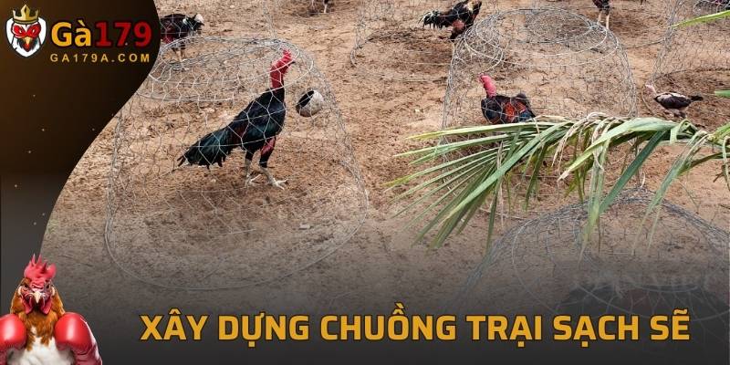 Xây dựng môi trường chuồng trại sạch sẽ